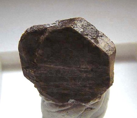 [ WIKI ] Phosphate