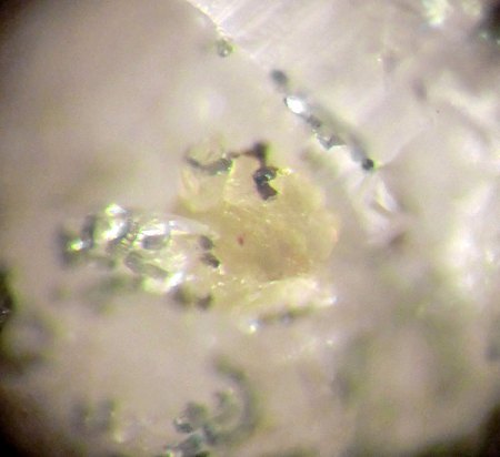 [ WIKI ] Phosphate
