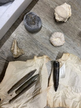 Verkauf von großer und umfangreicher Sammlung