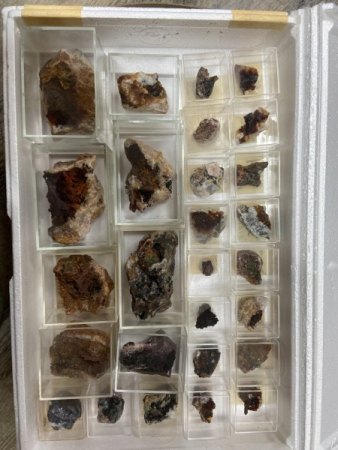 Verkauf von großer und umfangreicher Sammlung