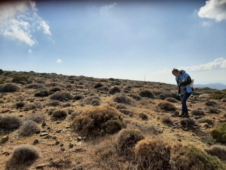 am zweiten Tag auf der Jagd nach Prasem