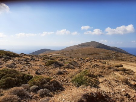 Blick ins Gebiet, wo ich die obigen Funde gemacht habe