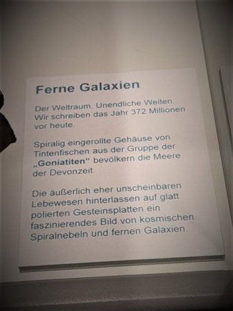 Das tägliche Gespräch