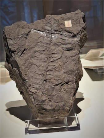 Geologische Vielfalt bei Erbendorf