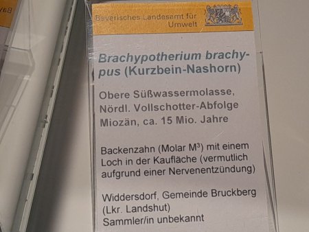 Geologische Vielfalt bei Erbendorf