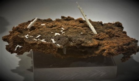Mineralienbörse Sainte-Marie Aux-Mines