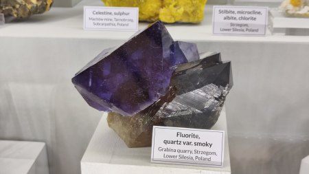Fluorit auf Rauchquarz Strzegom - Spirifer coll.