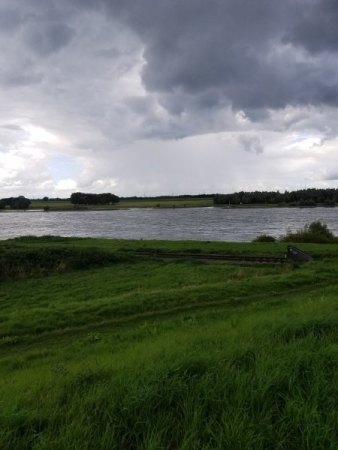 Rhein