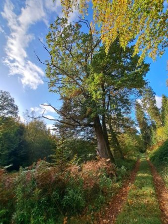 Bilder von Fauna und Flora