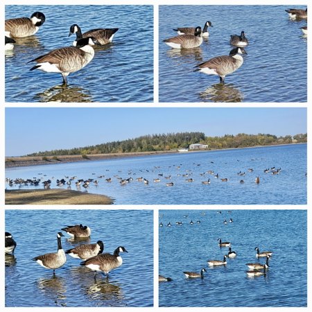 Bilder von Fauna und Flora