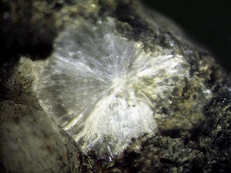 Zeolith_Stilbit_radial_EF_Pufler Loch_Seiser Alm_Dolomiten_Südtirol_Italien_Peter_2.JPG