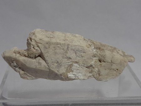 MineralienTage München/Riem