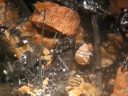 MineralienTage München/Riem