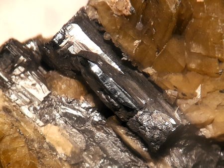 MineralienTage München/Riem