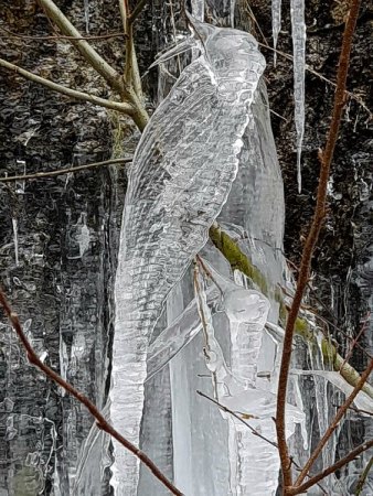 Bilder von Fauna und Flora