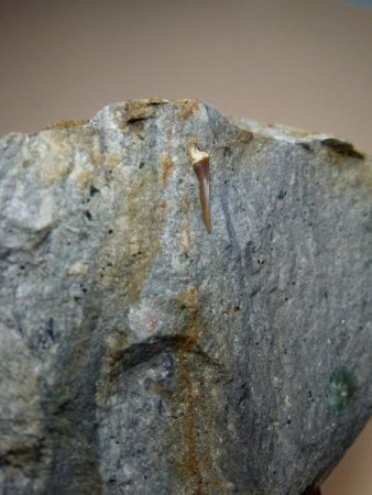Suche Mineralien aus dem Plauenschen Grund