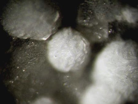 [ WIKI ] Sulfate