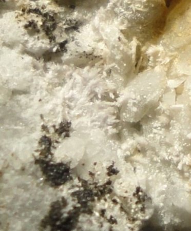 Carbonat-Fluorapatit