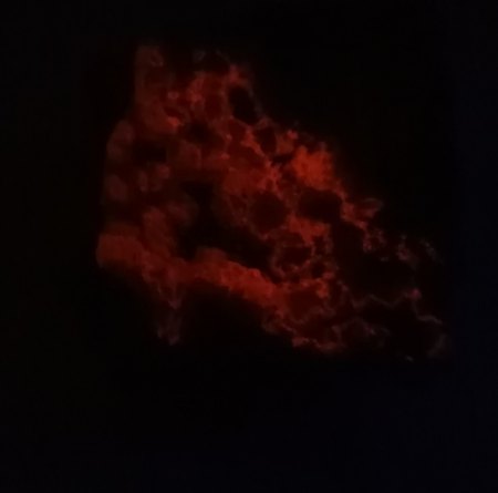 Calcit RS-UV