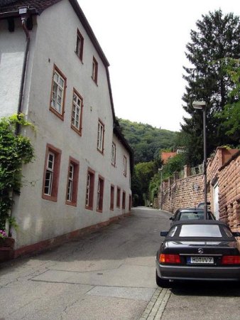 Ein pegmatitisches Vorkommen bei Heidelberg