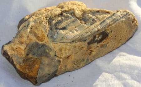 Mineralien aus Neuseeland