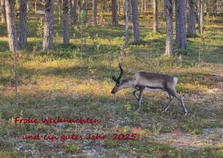 Grüße zu den Adventstagen