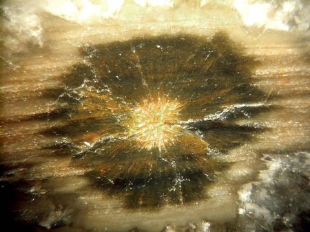 Madagaskar und seine Mineralien