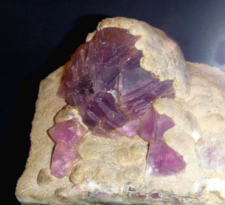 Hänschen, unser liebstes Geburtstagskind