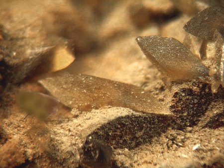 Mineralien aus Bolivien