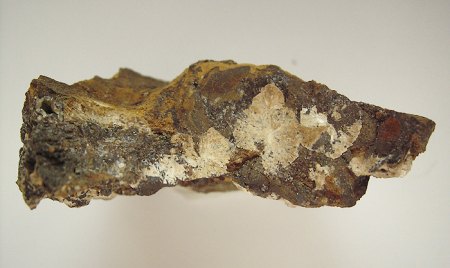 Mineralienkabinett McSchuerf