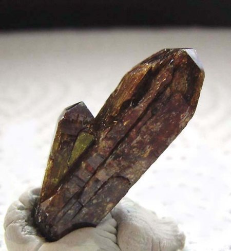 Xenotim_Bahia_Brasilien_Peter.jpg