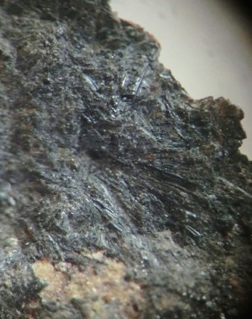 Mikromount-Auswahl aus Sammlung McSchuerf