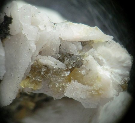 Mikromount-Auswahl aus Sammlung McSchuerf