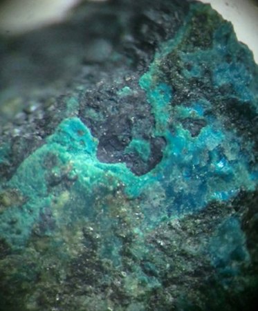 Mikromount-Auswahl aus Sammlung McSchuerf
