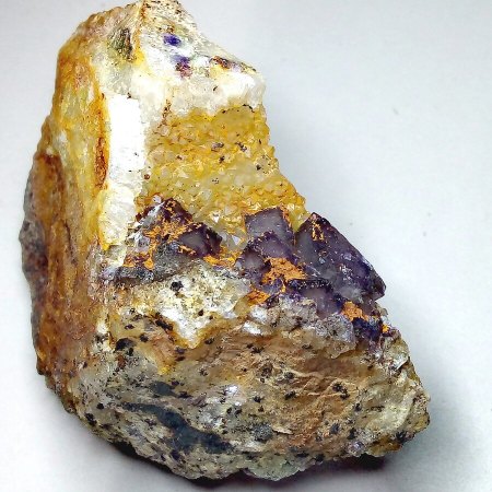 Rothirschner Stehenden