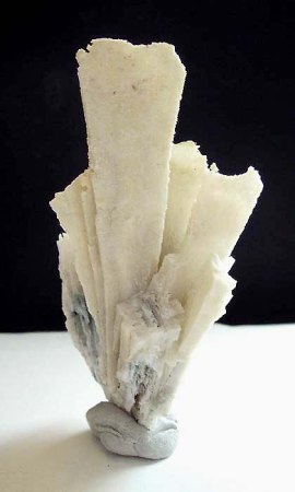 [ WIKI ] Pseudomorphose