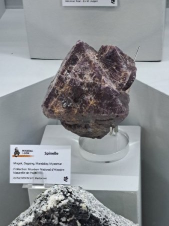 Mineralienbörse Sainte-Marie Aux-Mines