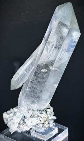 14,5x5,5cm