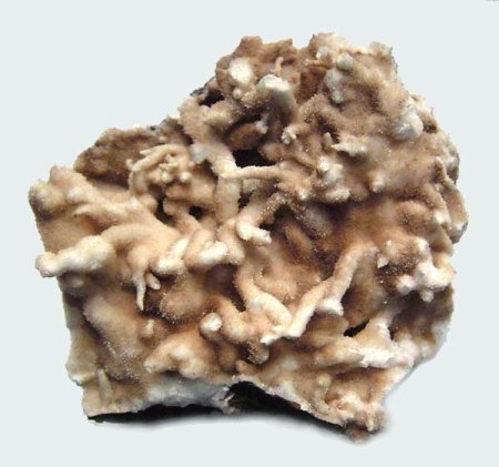 [WIKI ] Karbonate