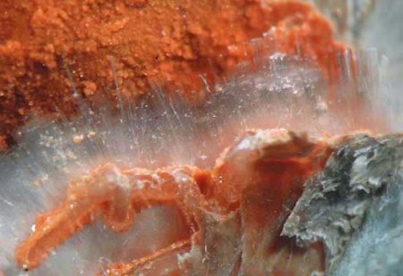 Die Mineralogie - Kleiner Exkurs in die Geschichte