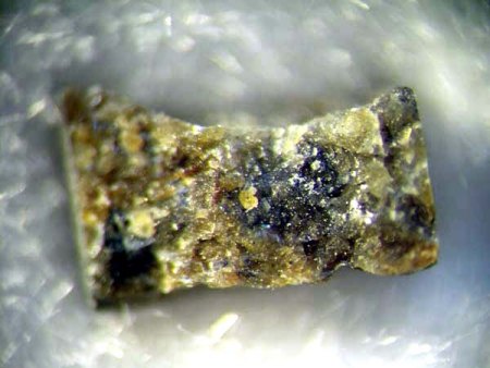 Die Welt der Meteorite – Zeugen der Entstehung d. Universums