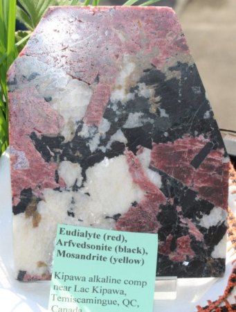Binghamit und seine steinigen Mitbewohner