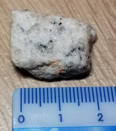 Was hab ich da im Thüringer Wald gefunden?