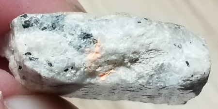 Was hab ich da im Thüringer Wald gefunden?