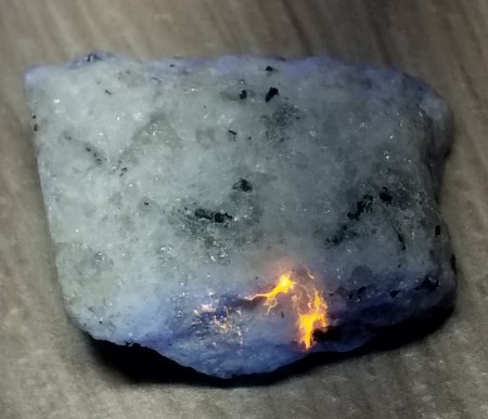 Was hab ich da im Thüringer Wald gefunden?