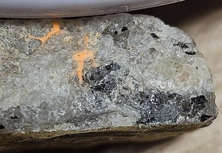 Was hab ich da im Thüringer Wald gefunden?