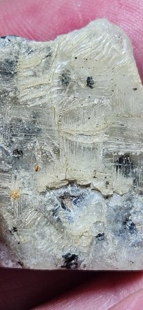 Was hab ich da im Thüringer Wald gefunden?