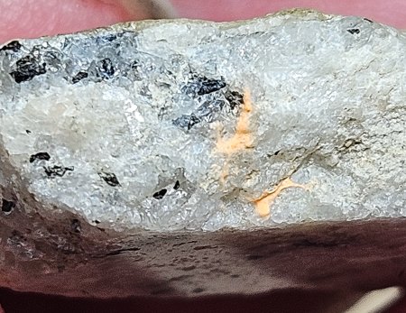 Was hab ich da im Thüringer Wald gefunden?