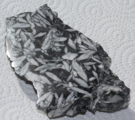 Pinolith