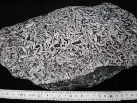 Pinolith
